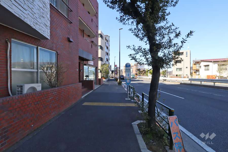 敷地東側の前面道路(北側から)