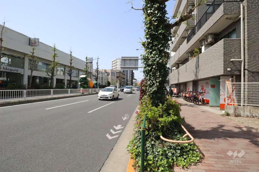 敷地南側の前面道路
