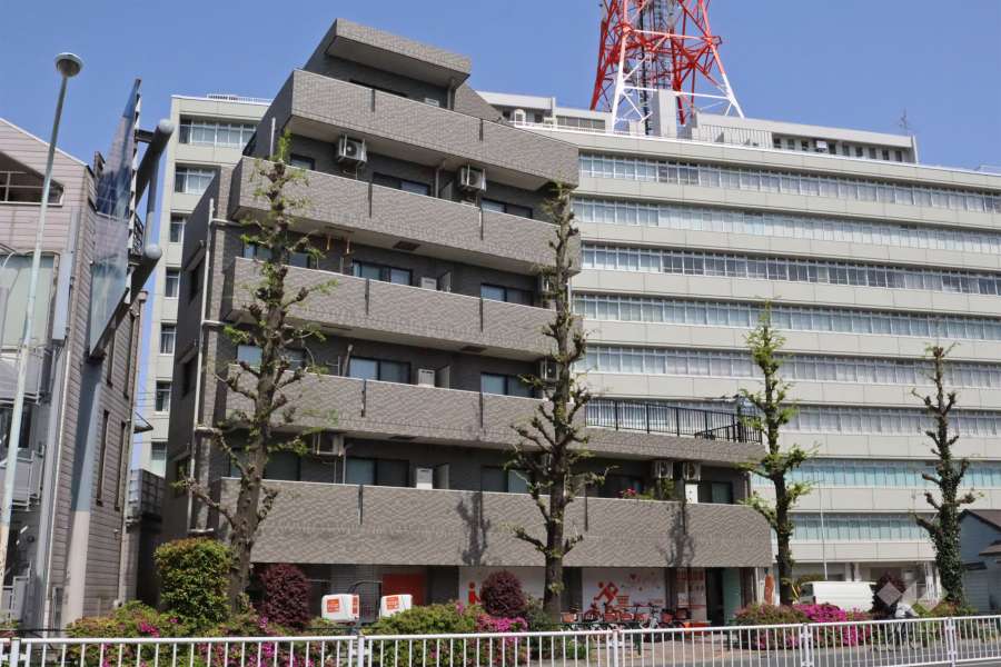 メルシー学芸大学の外観（南西側から）