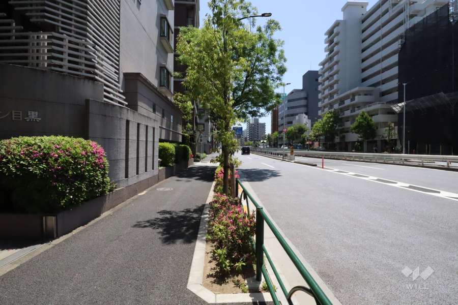 敷地南西側の前面道路