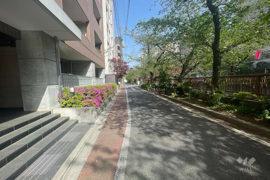 敷地南側の前面道路（西側から）