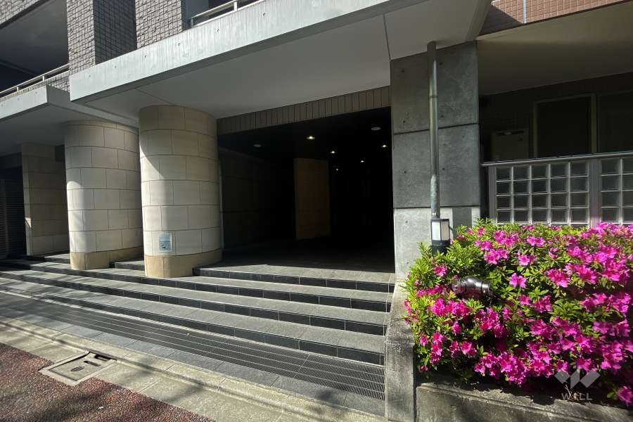 エントランスアプローチ