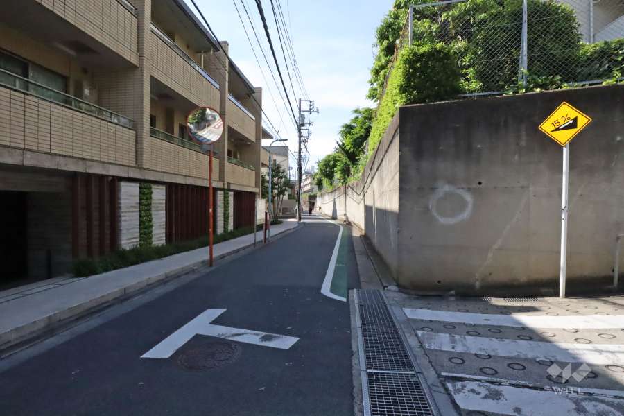 敷地西側の前面道路（南側から）