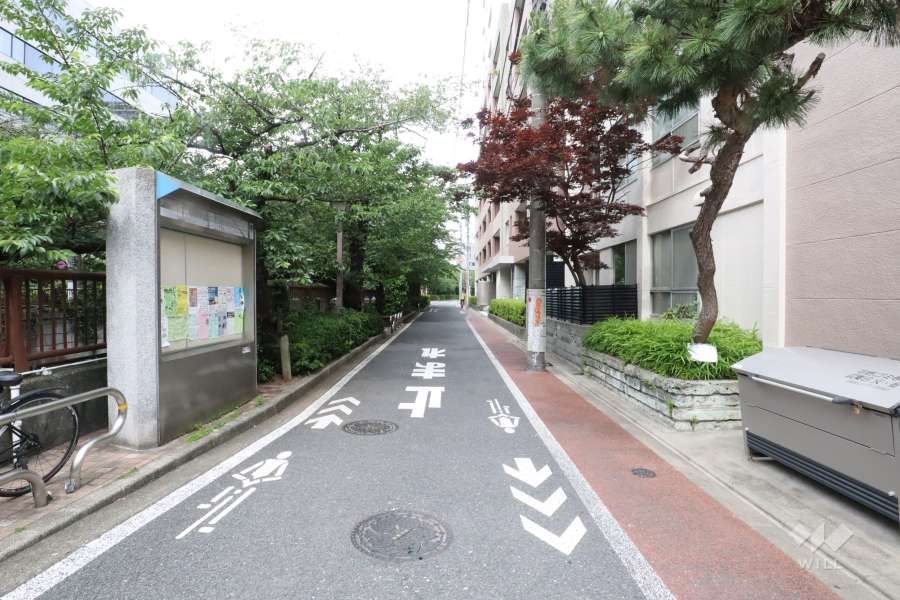 敷地南側の前面道路(東側から)