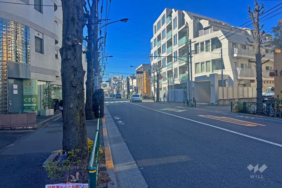 敷地北側の前面道路(北東側から)