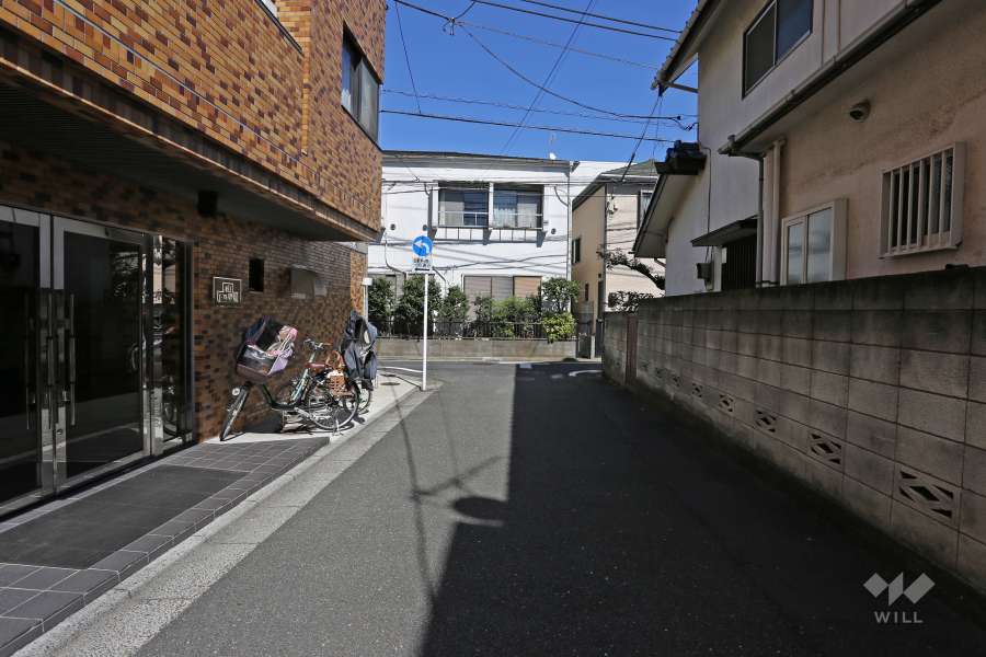敷地南側の前面道路（西側から）