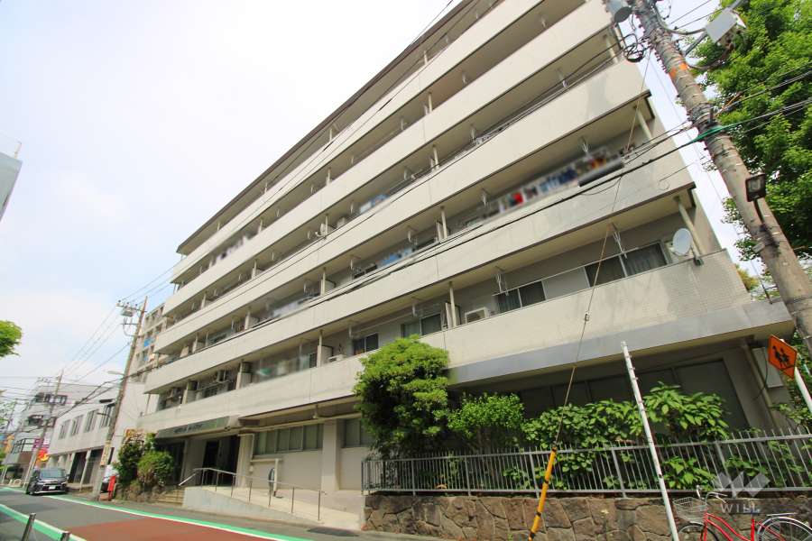 ミニカムマンションの外観（南東側から）