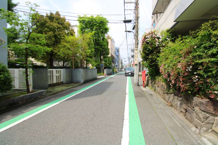 敷地南側の前面道路　