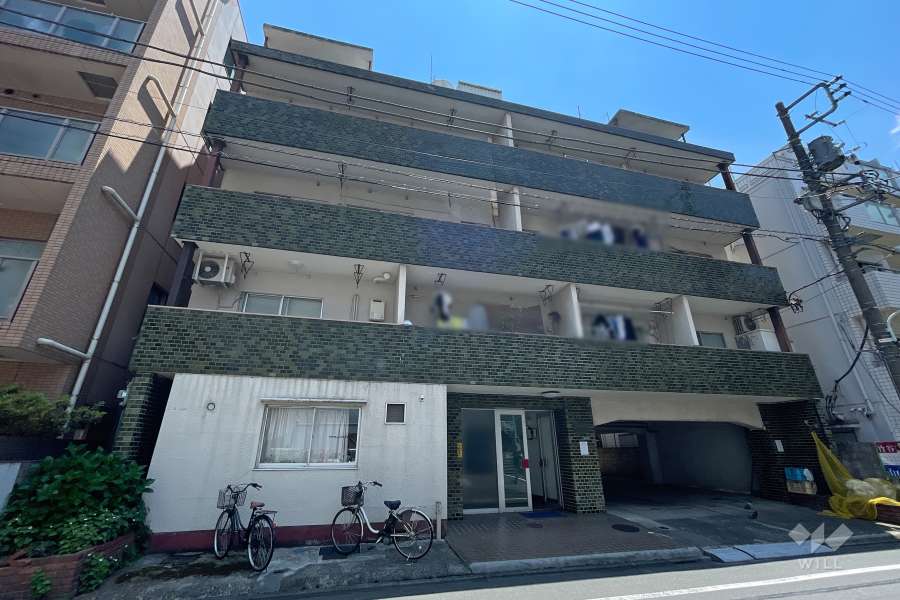 メゾン青葉の外観（北側から）