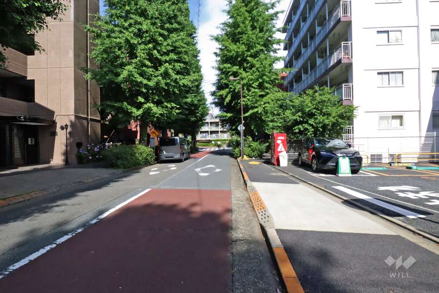 敷地南側の前面道路(東側から)