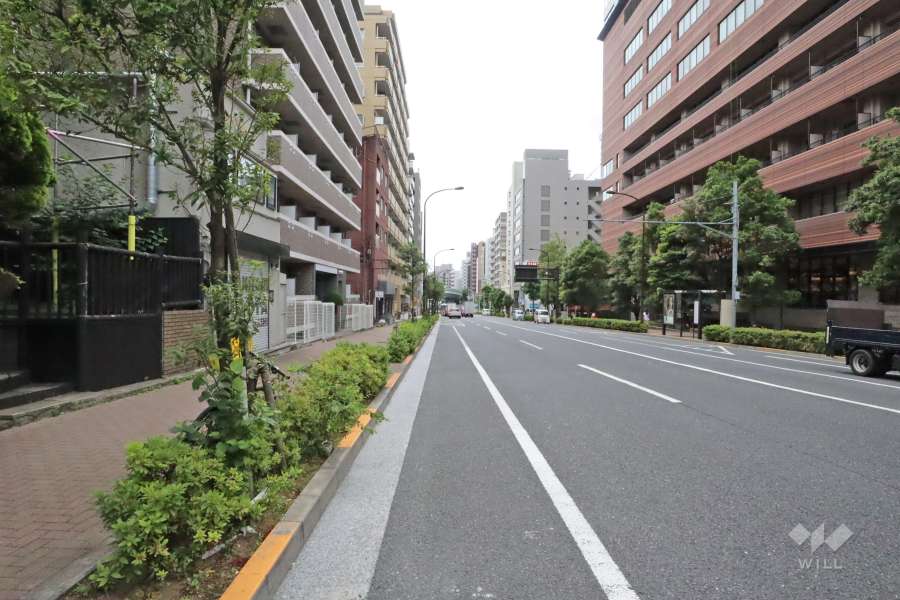 敷地南西側の前面道路