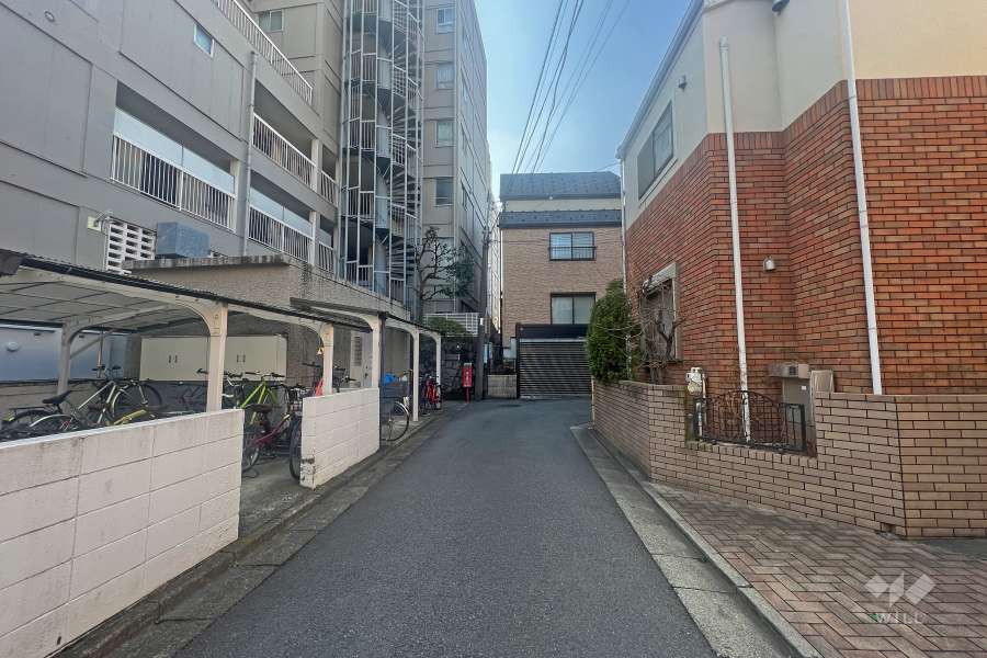 敷地西側の前面道路(北側から)