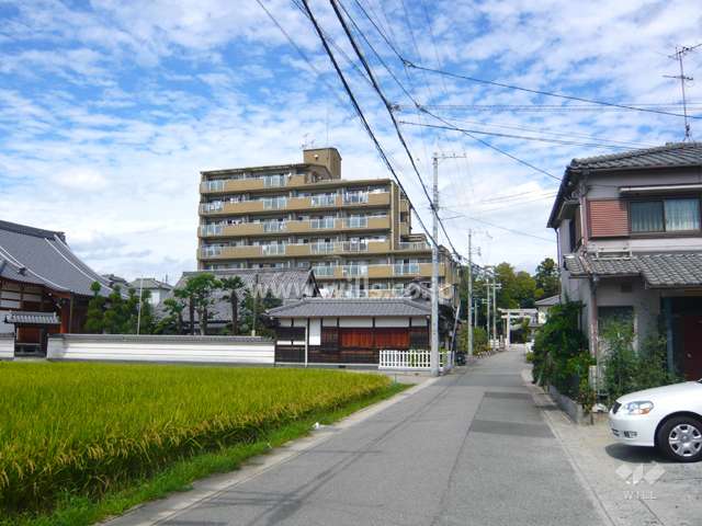 周辺の街並み。田んぼやお寺などがありのどかな雰囲気です。