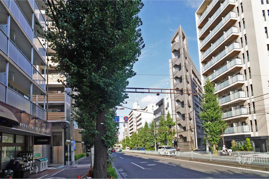 敷地南東側の前面道路（南西側から）