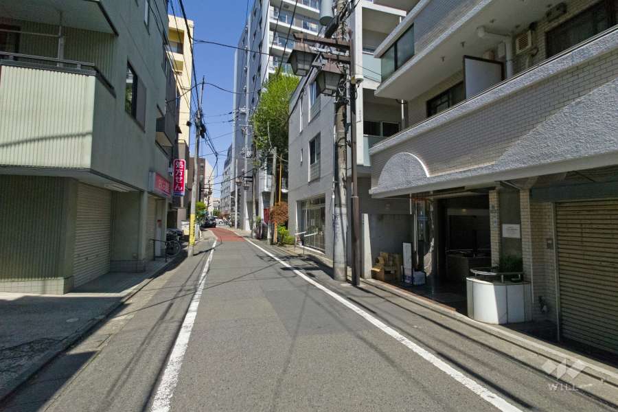 敷地西側の前面道路（南側から）