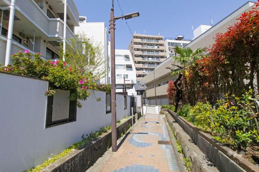 敷地東側の前面道路（南側から）2