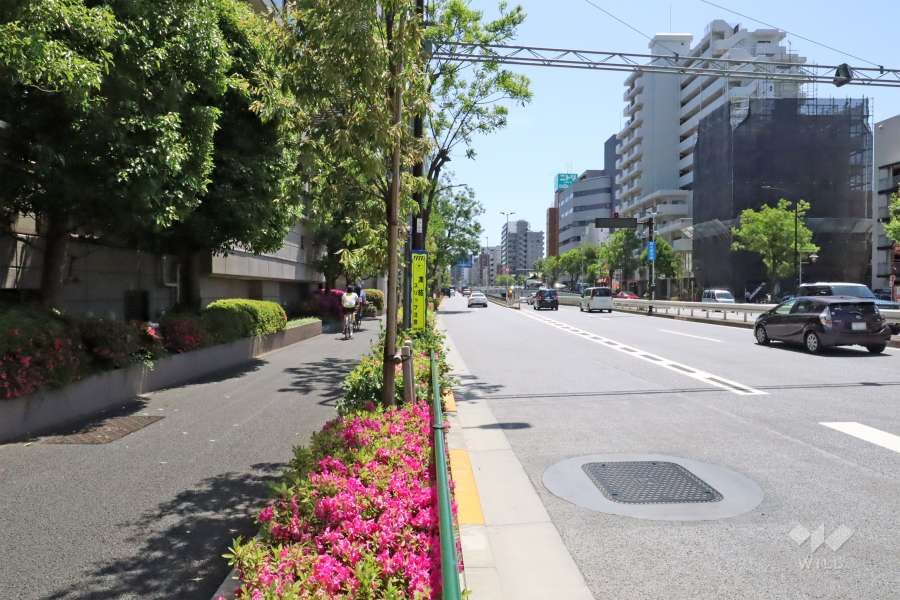 敷地南西側の前面道路(北西側から)