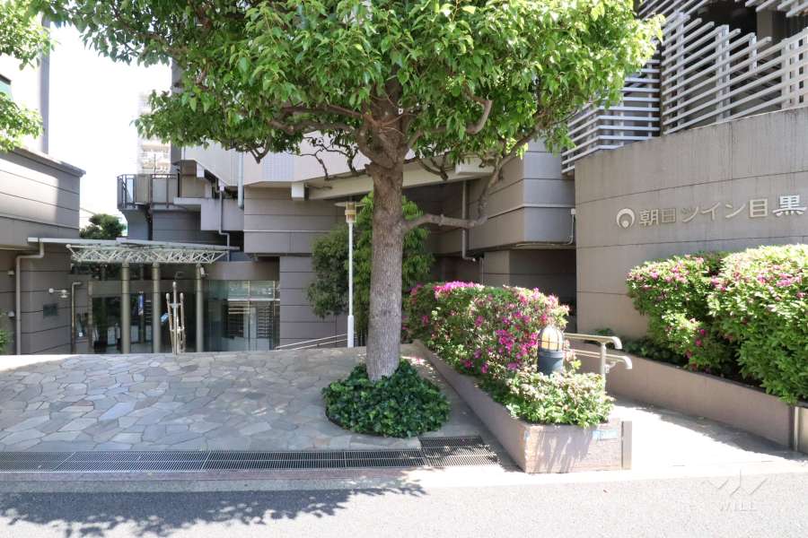 エントランスアプローチ