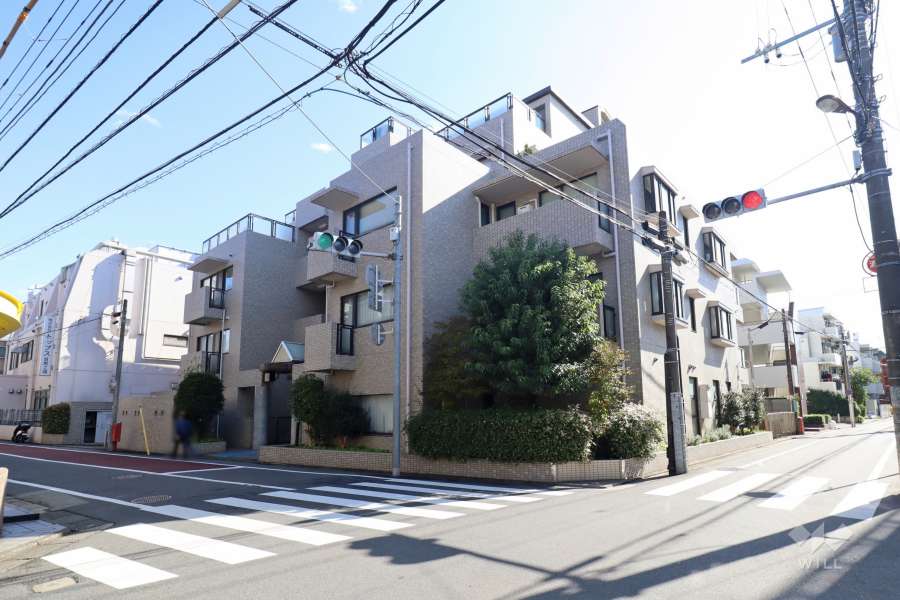 ロイヤルヴィーゼ学芸大学の外観（北西側から）