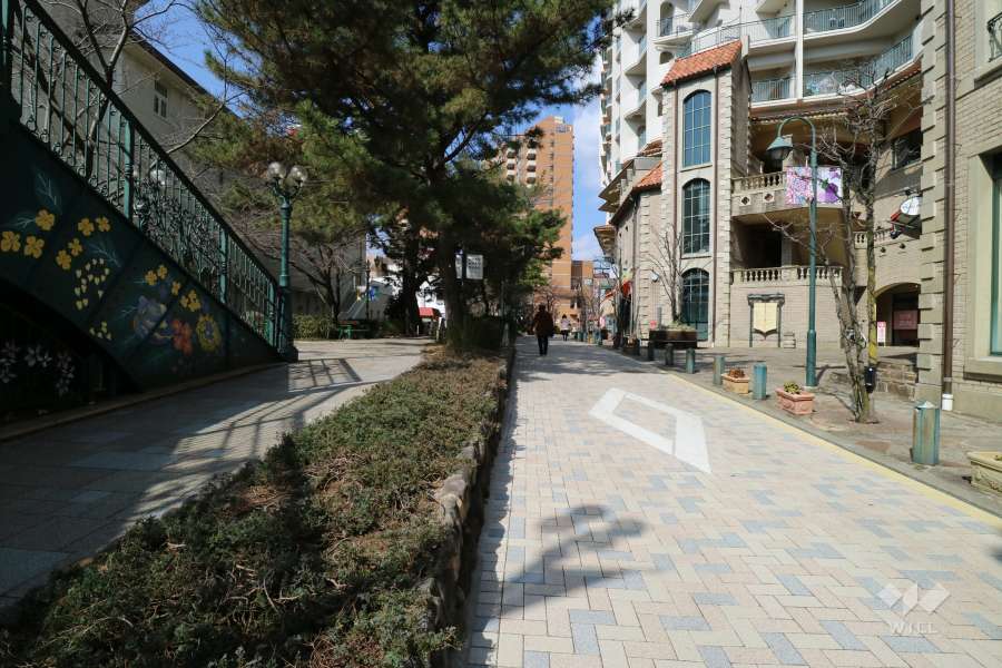 敷地南側の前面道路（花のみち）