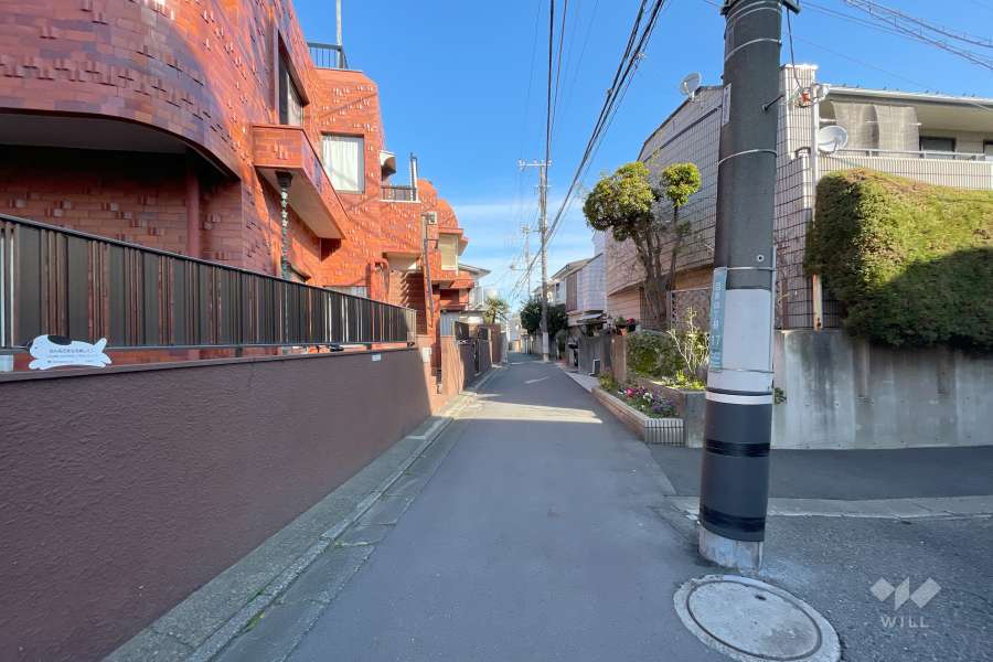 敷地東側の前面道路（南側から）