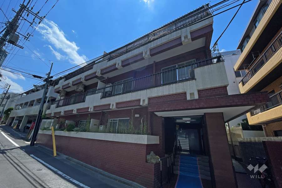 セザール大橋の外観（北東側から）