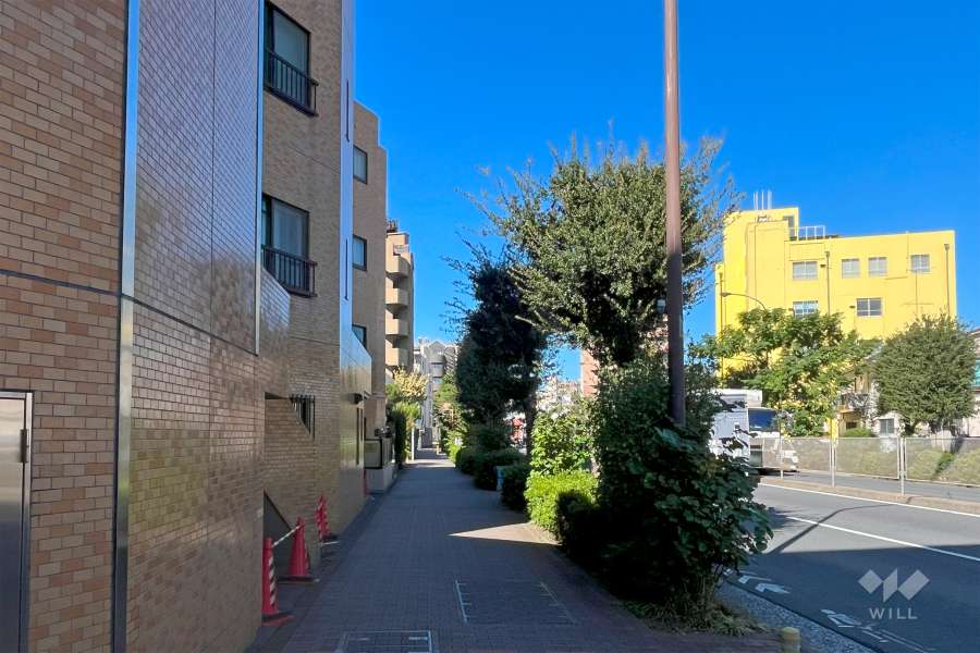 敷地東側の前面道路