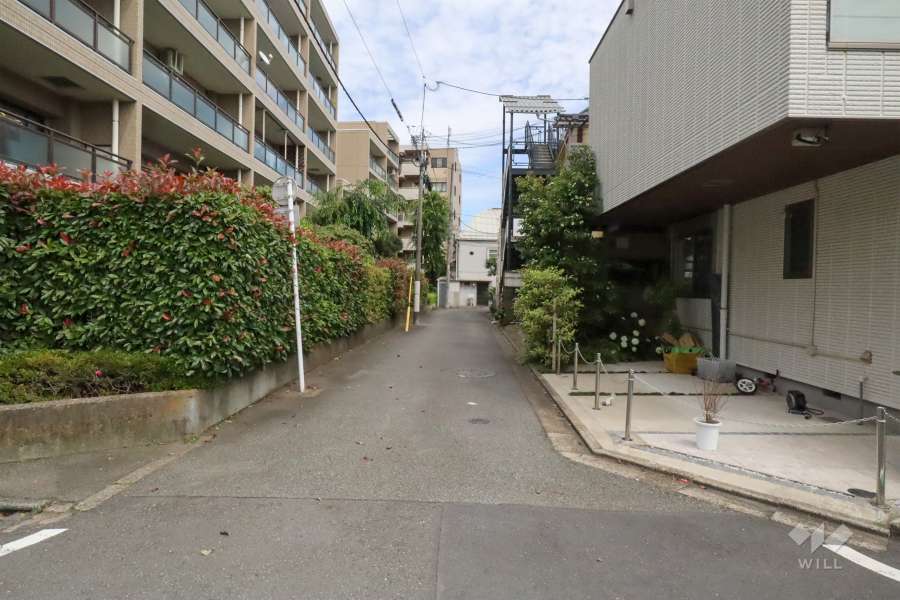 敷地南側の前面道路(西側から)