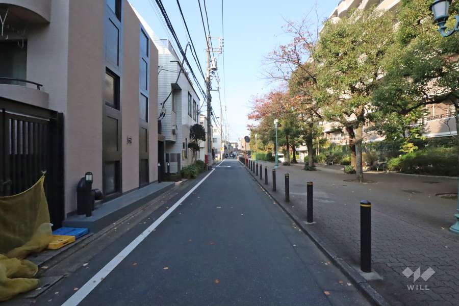 敷地西側の前面道路(南側から)