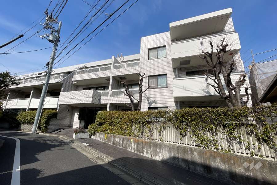 インペリアル学芸大学フラットの外観（南東側から）