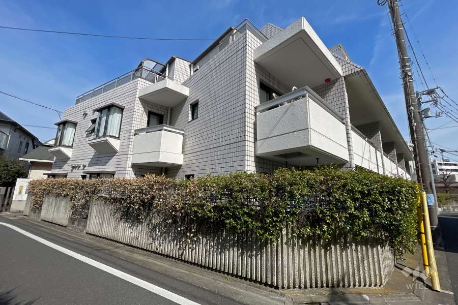 インペリアル学芸大学フラットの外観（西側から）