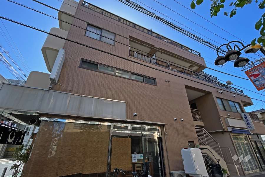 ヴィラアドバンスの外観（北西側から）