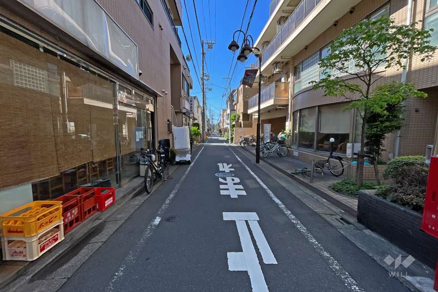 敷地西側の前面道路（北側から）
