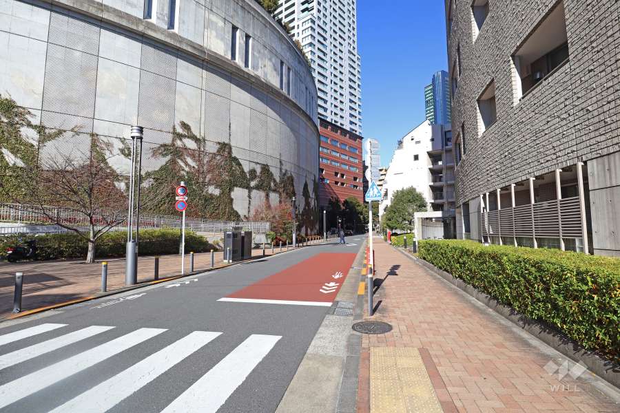 敷地西側の前面道路（南側から）