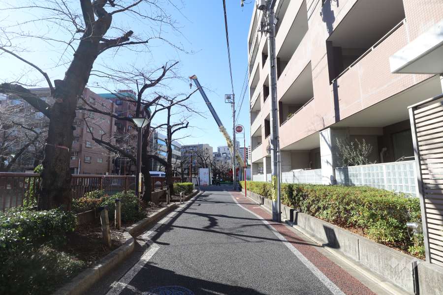 敷地南側の前面道路（東側から）