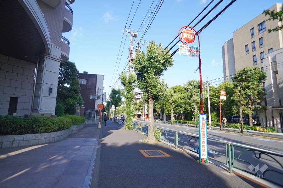 敷地南側の前面道路（西側から）