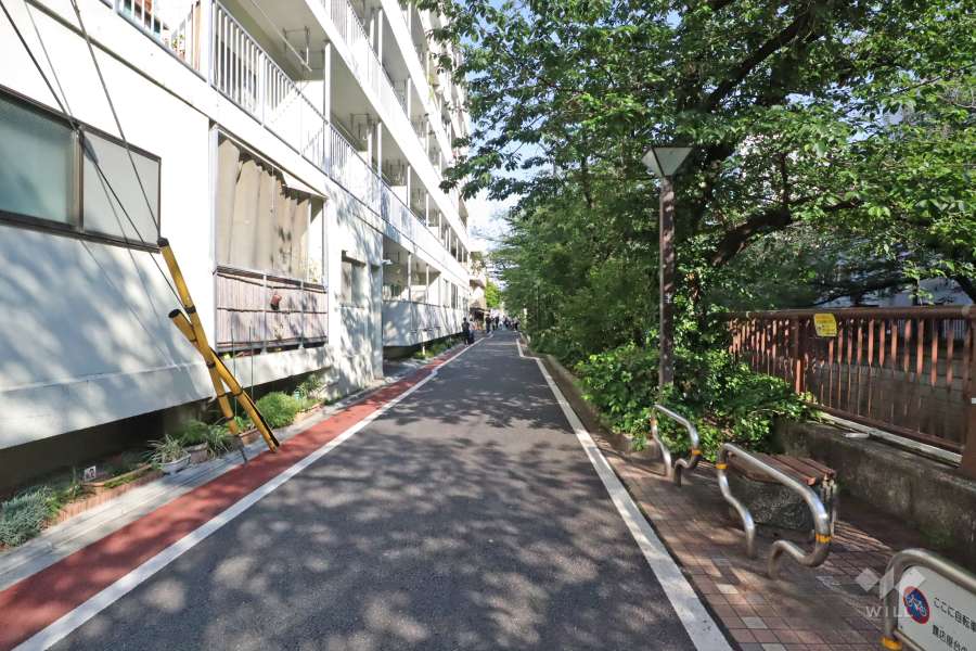 敷地南西側の前面道路(北西側から)