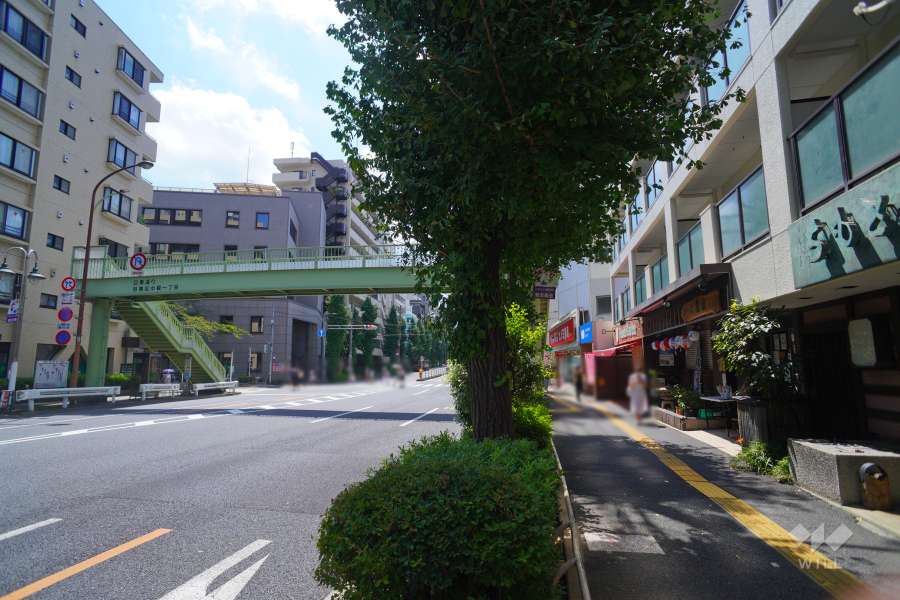 敷地南東側の前面道路