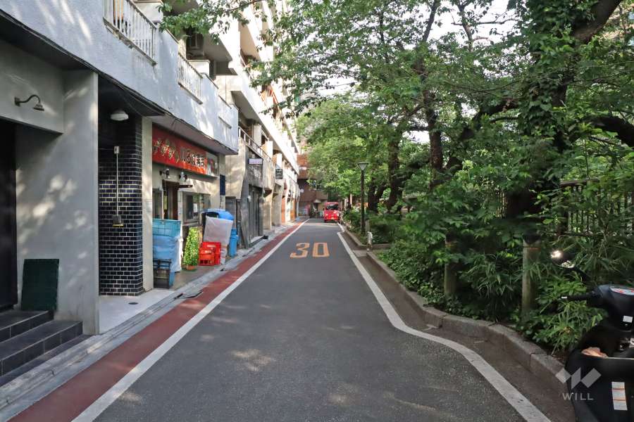 敷地南西側の前面道路(南東から）