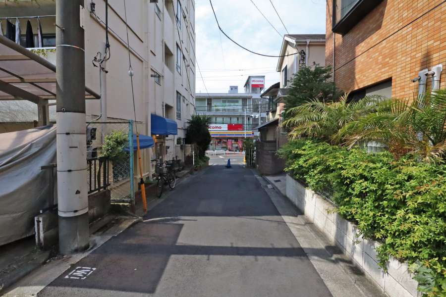 敷地北側の前面道路(西側から)