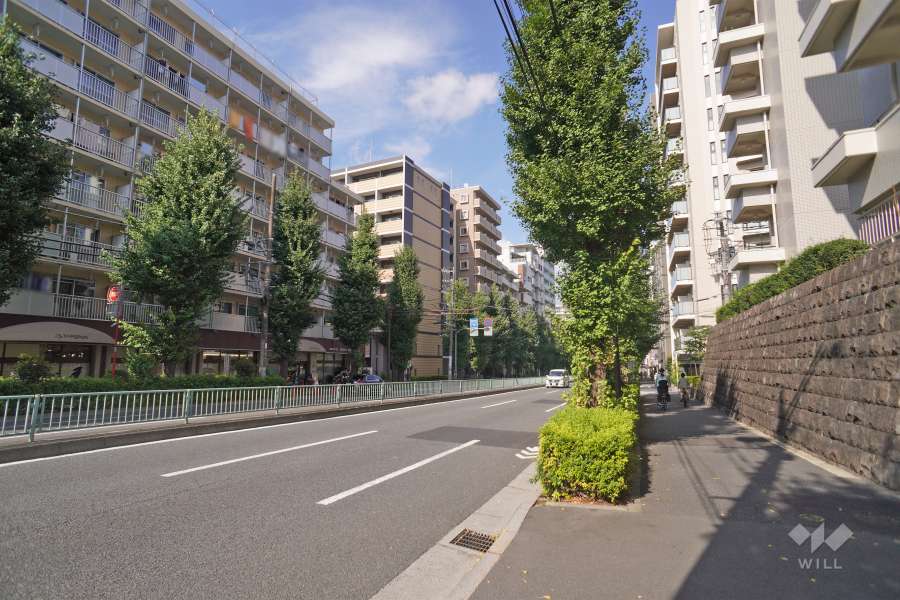 敷地北側の前面道路（西側から）