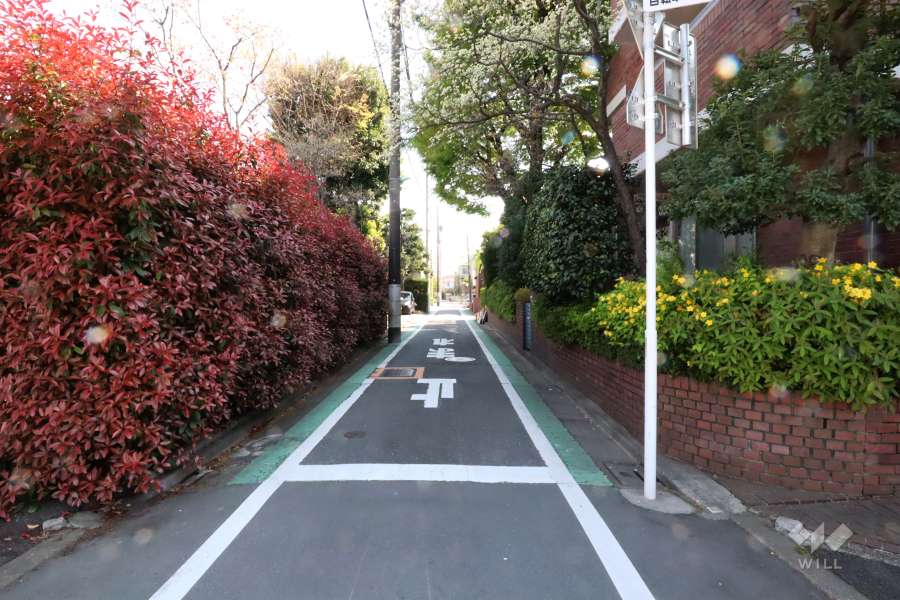 敷地北東側の前面道路(北西側から)