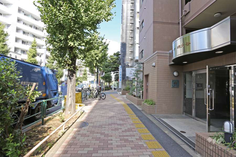 敷地北側の前面道路（西側から）