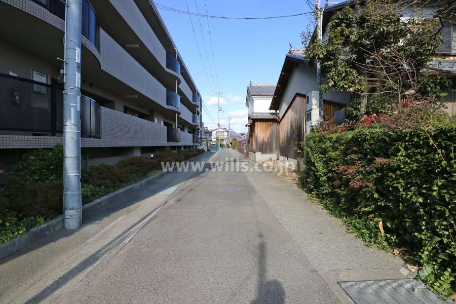敷地東側の前面道路（南側から）