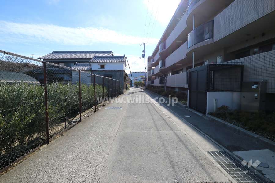敷地東側の前面道路（北側から）