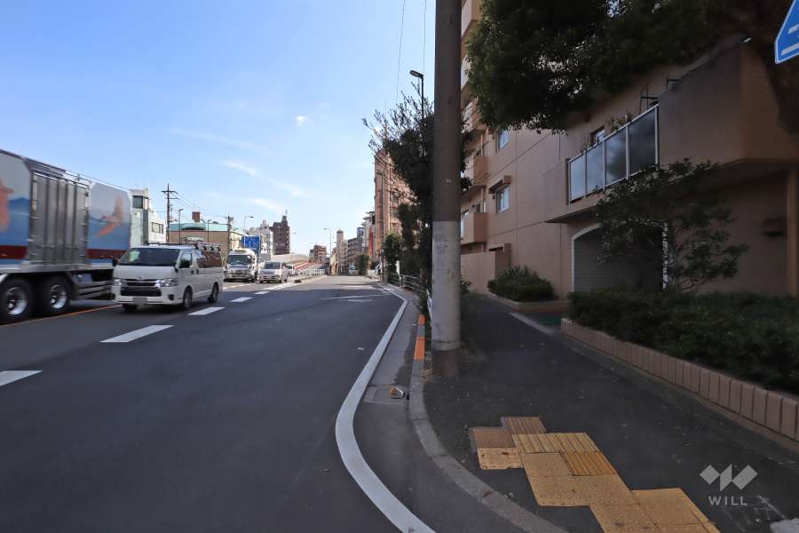 敷地東側の前面道路(北側から)