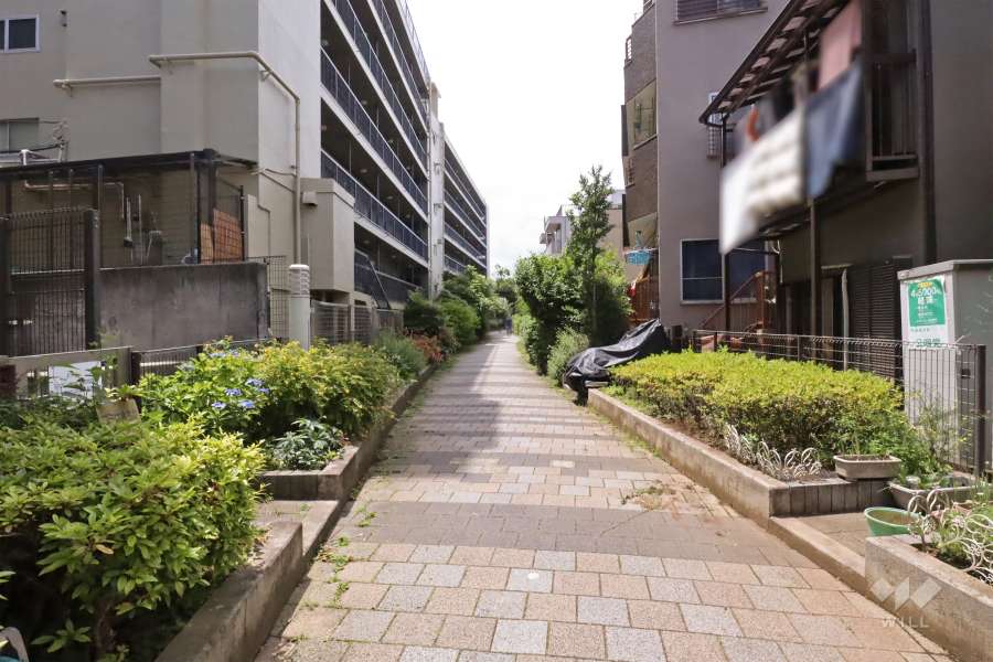 敷地北側の前面道路(東側から)