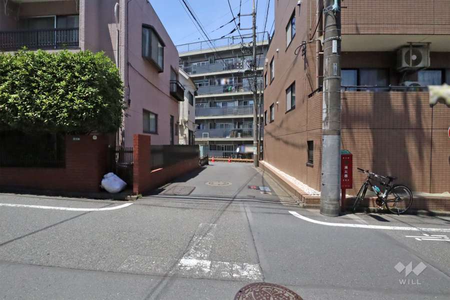 敷地南側の前面道路(南側から)