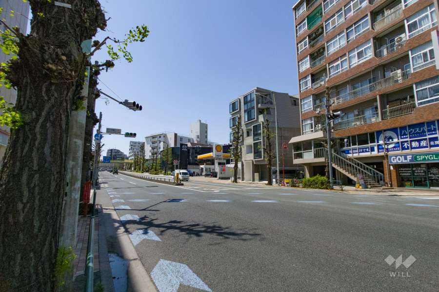 敷地の南東側前面道路（北東側から）