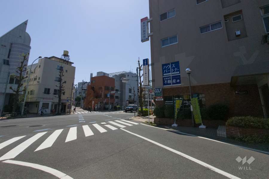 敷地の東側前面道路（南側から）